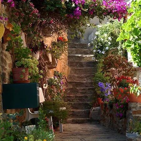 Lägenhet Cosy & Zen Centre