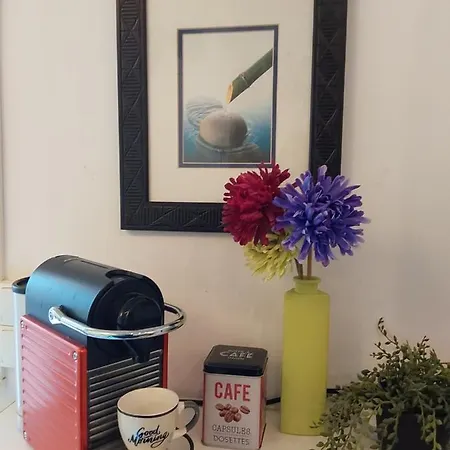 Cosy&zen Centre Hyères