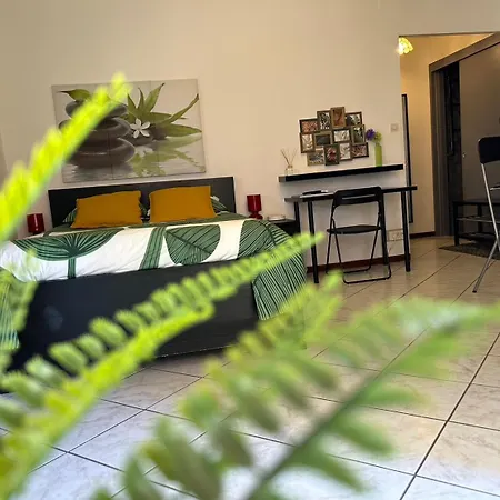 Cosy & Zen Centre Apartament